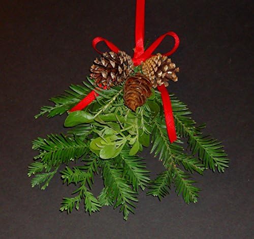 ALLO BOTANICAS Svježi veliki pravni Mistletoe božićni odmor ukras za ljubljenje s Kalifornijom Redwood, ružmarin i prave borove konusi