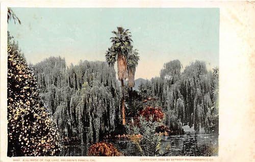 Baldwins Ranch, kalifornijska razglednica