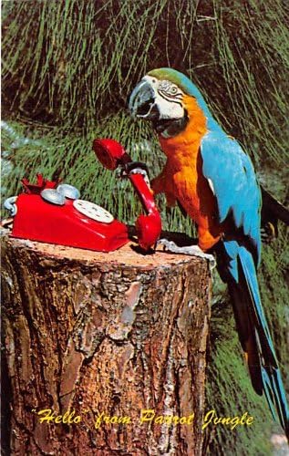 Parrot Jungle, Florida Razglednica