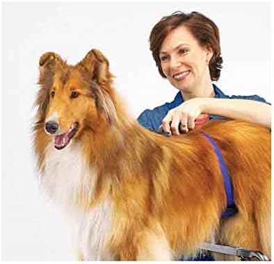 Glavna oprema podesiva profesionalna njegovana za pse podržava jastuk stezaljke sa sigurnosnim remenom