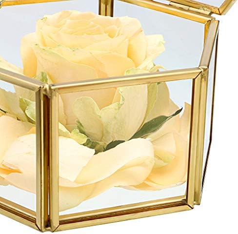 Kutija za nakit od šesterokutnog stakla sa spremljenim cvijetom, Ukrasna kutija za nakit od šesterokutnog stakla, ukrašena torbica