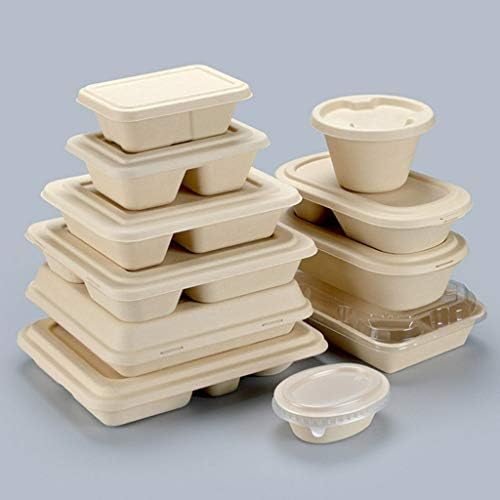 Kutija za ručak za muškarce i žene 5kom jednokratna kutija za ručak od pulpe od 800 ml biorazgradive posude za iznošenje ekološki prihvatljive