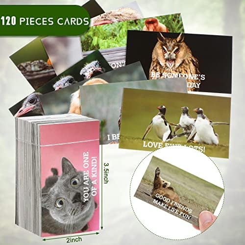 120 komada bilješki za kutiju za ručak smiješnih životinja za djecu Mini motivacijske i inspirativne kartice veličine 3,5 inča 2 inča