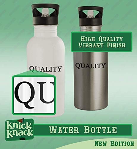 Knick Knack pokloni Woe - boca vode od nehrđajućeg čelika od 20oz, srebro