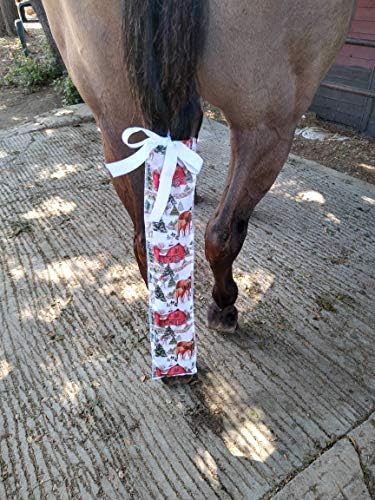 Torba za konjski rep standardne veličine & pojačalo; torba za konjski rep standardne veličine vesele boje torba za konjski rep